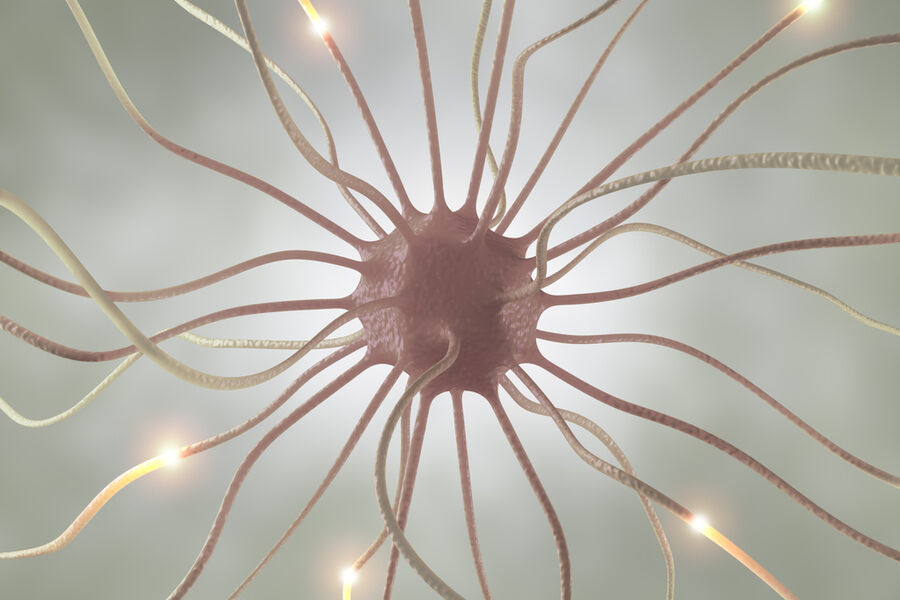 Cognitive Distortion